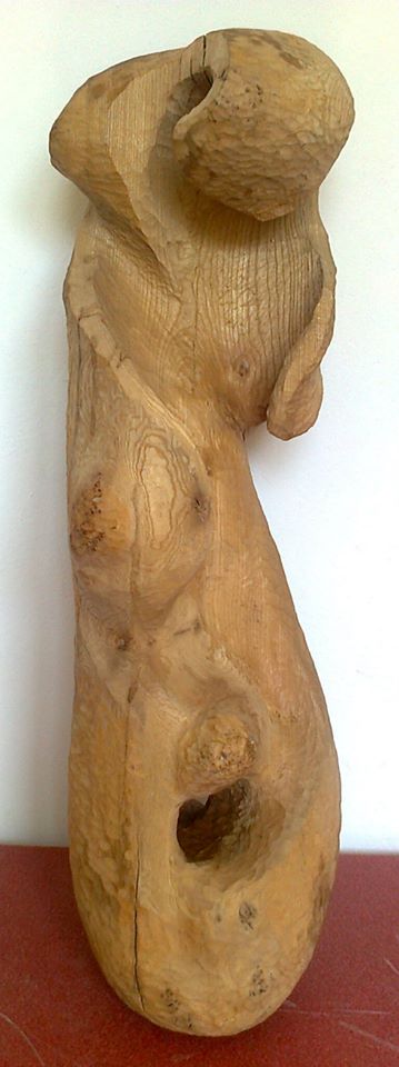 Image 20